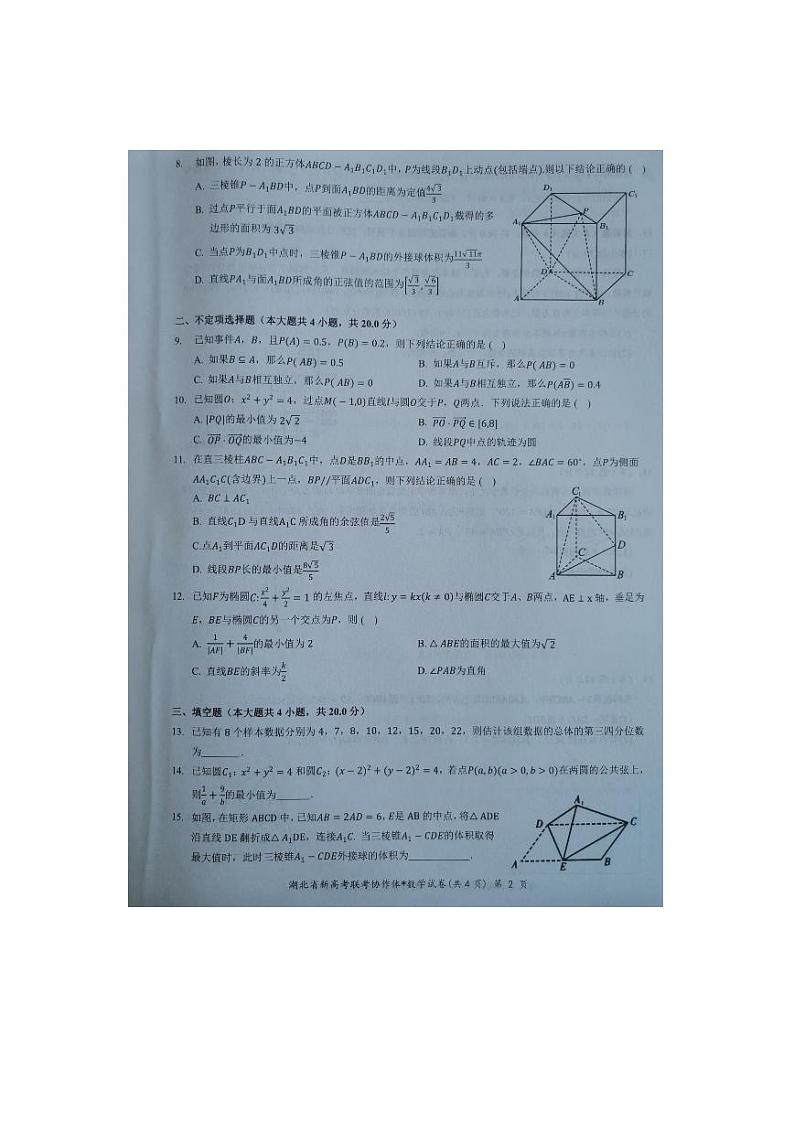 湖北省2023_2024学年高二数学上学期11月期中试题第2页
