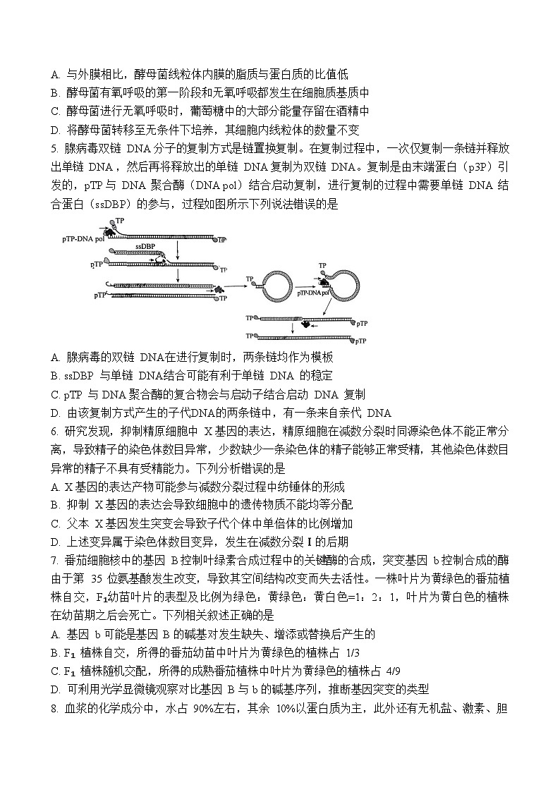 2024届齐鲁名校大联考山东省高三第三次学业质量联合检测数学试卷及参考答案02