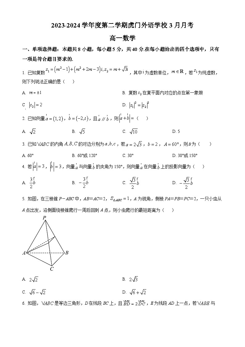 广东省东莞市虎门外语学校2023-2024学年高一下学期3月月考数学试题（原卷版+解析版）01