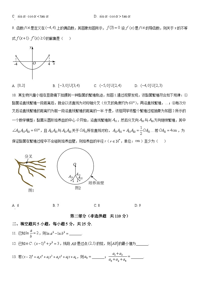 2024年北京市海淀区高三下学期期中练习(高考一模)数学试卷含详解02