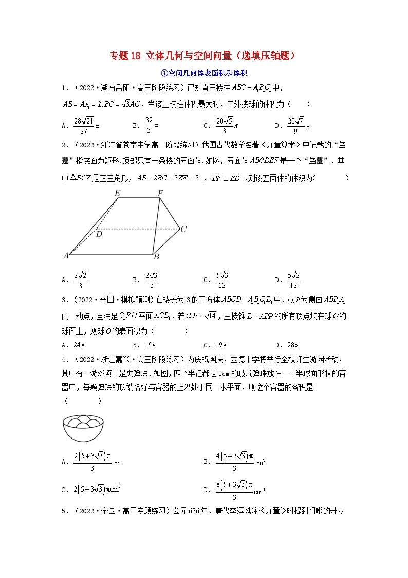 新高考版2023年高考数学必刷压轴题专题18立体几何与空间向量选填压轴题（学生版）01