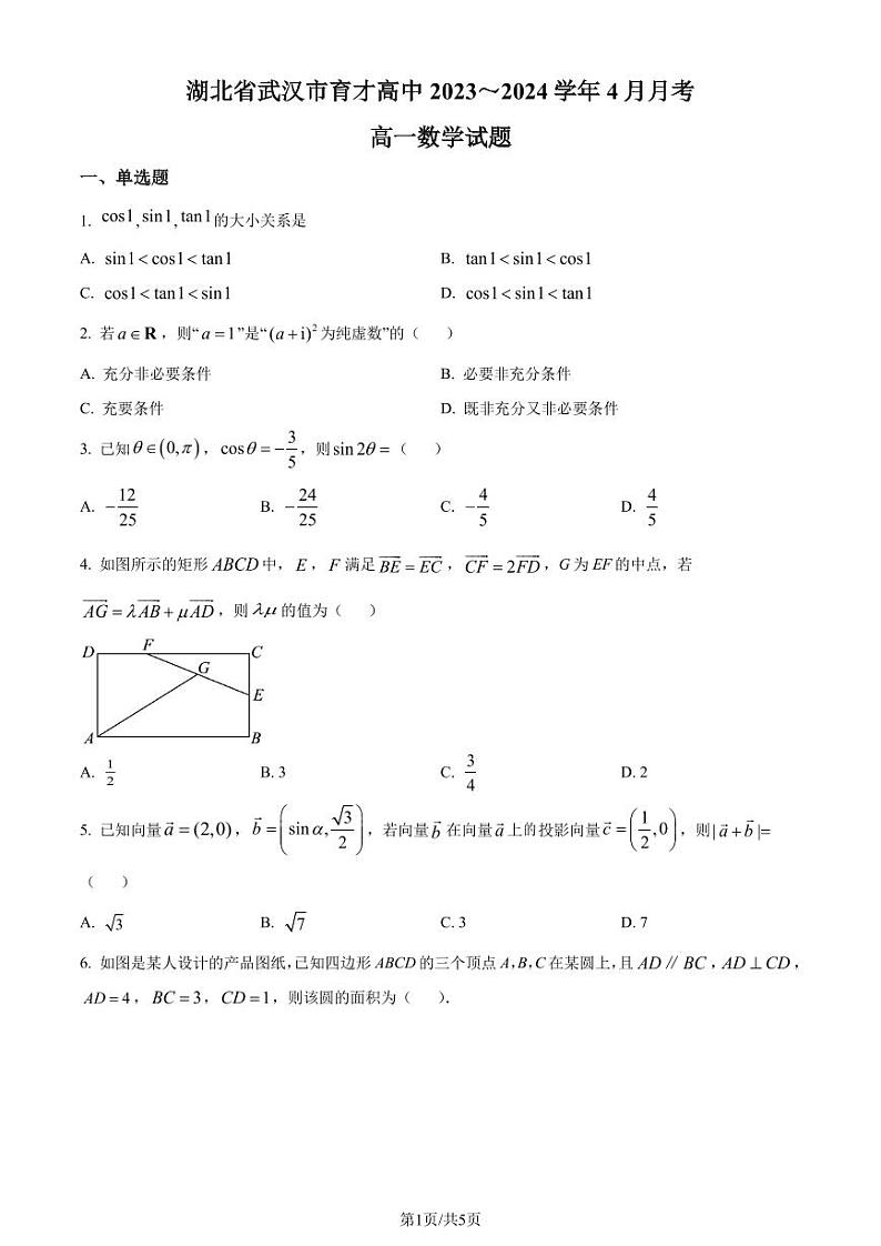 湖北武汉育才高级中学2024年高一下学期4月月考数学试题+答案01