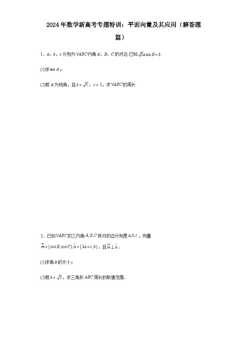 新高考2024年高三数学专题训练平面向量及其应用（解答题篇）含答案第1页