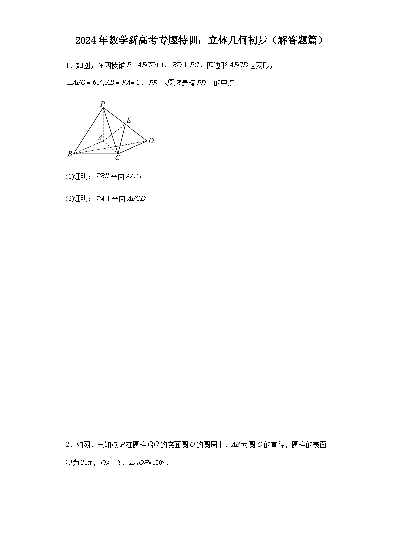 新高考2024年高三数学专题训练立体几何初步（解答题篇）含答案第1页