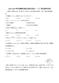 2023-2024学年湖南省娄底市新化县高一（上）期末数学试卷(含详细答案解析)