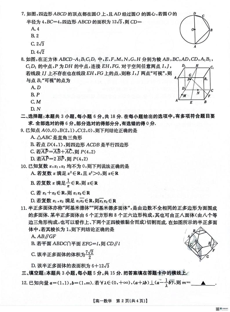 2024沧州沧衡学校联盟高一下学期4月期中考试数学PDF版含解析02