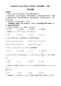 山东省济宁市2024届高三下学期4月二模数学试题(Word版附答案)