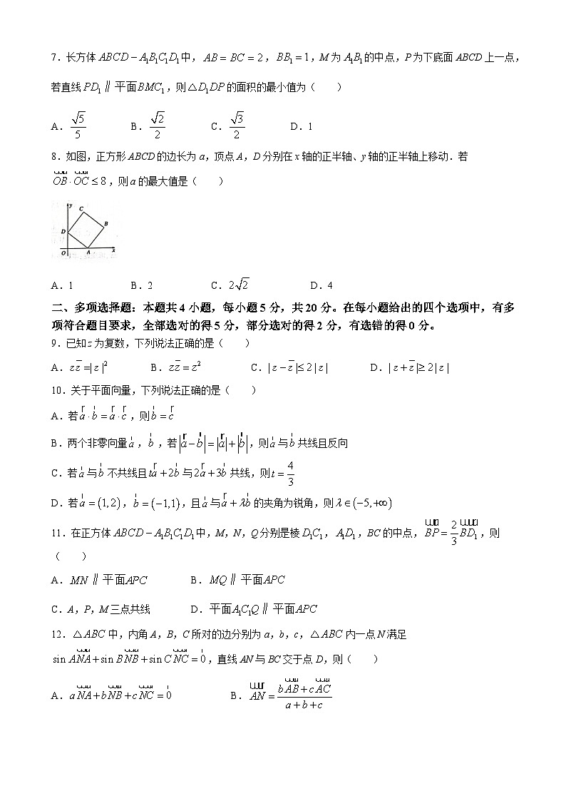 2024洛阳高一下学期4月期中考试数学含答案第2页