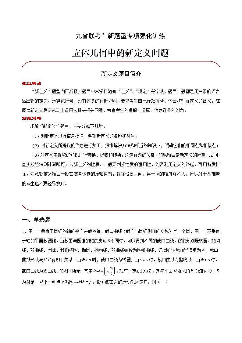 【三轮冲刺】高考数学专题07 立体几何中的新定义问题（强化突破）（新高考新题型）.zip01