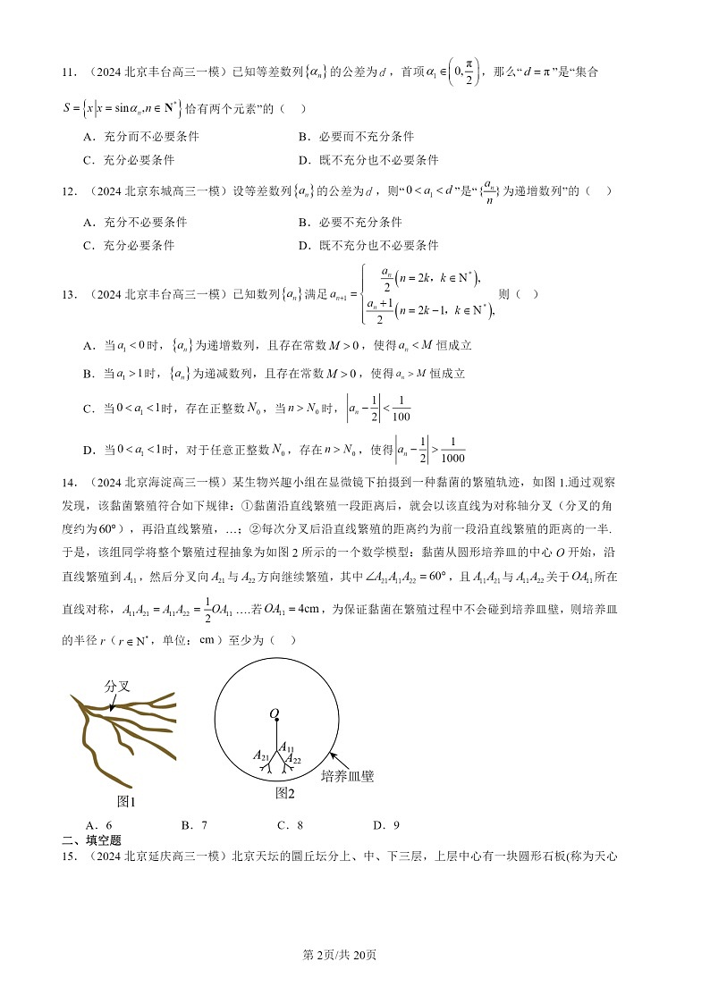 2024北京高三一模数学试题分类汇编：数列章节综合02