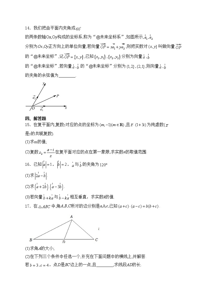 雷州市第二中学2023-2024学年高一下学期期中考试数学试卷(含答案)03