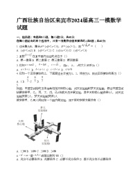 广西壮族自治区来宾市2024届高三一模数学试题