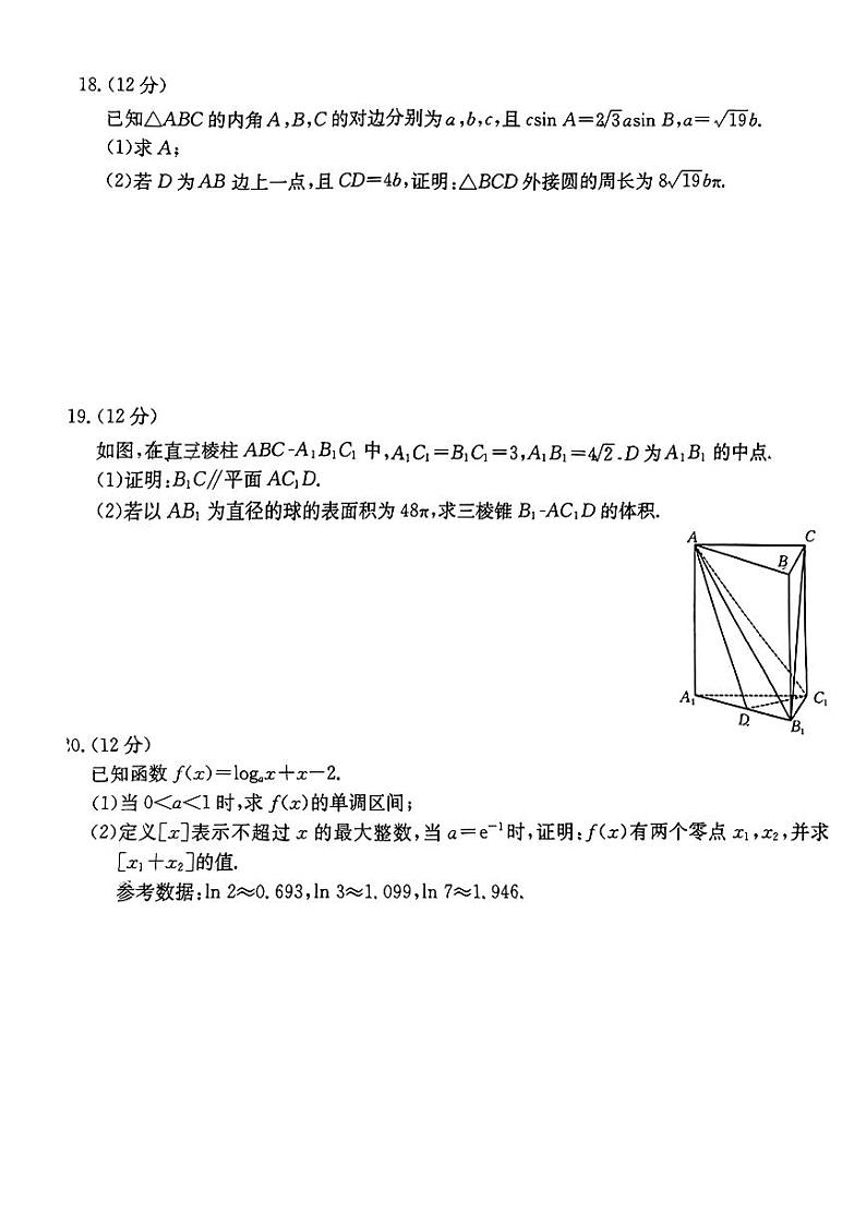 45：2024四川四月大联考文理数学试卷与详细解析第3页