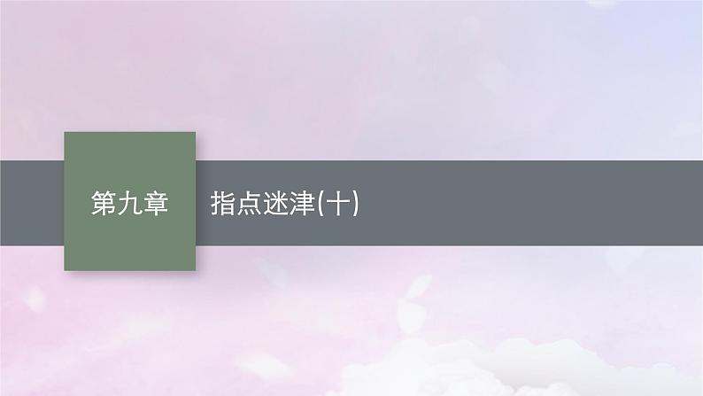 2025届高考数学一轮总复习第九章平面解析几何指点迷津十课件01