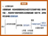 北师大版数学高一必修第一册 6.2.2 分层随机抽样 课件