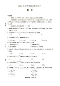 湖南省炎德2024届高三下学期5月高考考前仿真联考二数学试题