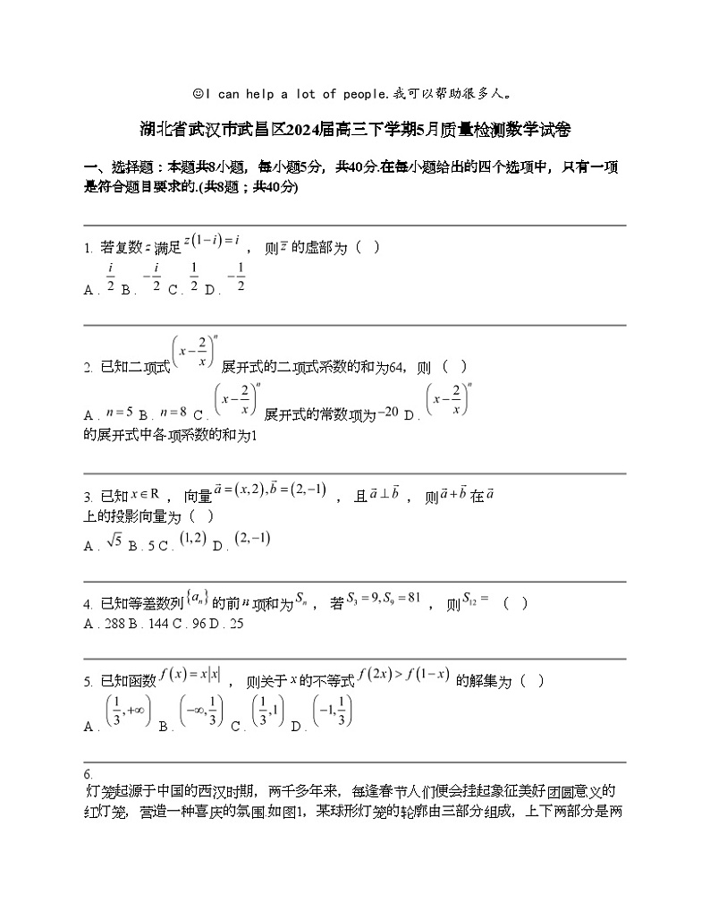 湖北省武汉市武昌区2024届高三下学期5月质量检测数学试卷第1页
