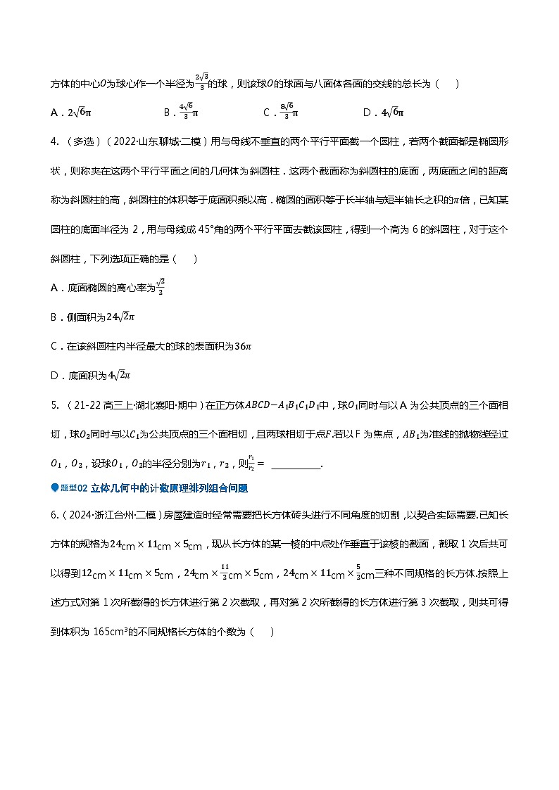 压轴题04 立体几何压轴题10题型汇总-2024年高考数学压轴题专项训练（新高考通用）03