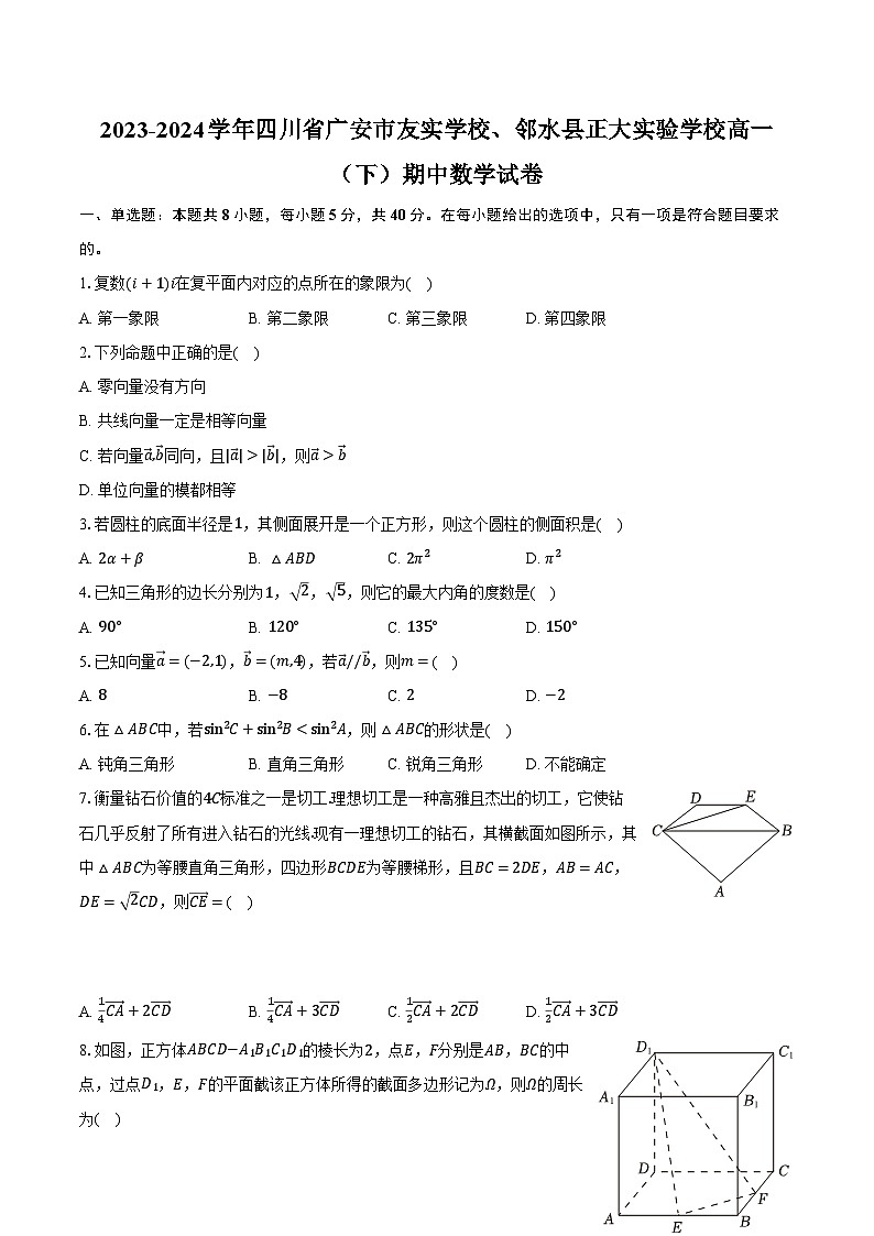 2023-2024学年四川省广安市友实学校、邻水县正大实验学校高一（下）期中数学试卷（含解析）01