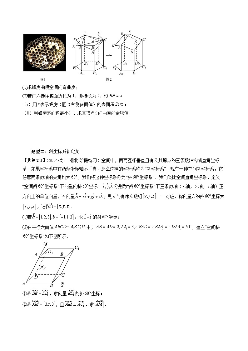 专题06 高等解析几何背景新定义（七大题型）（原卷版）第3页