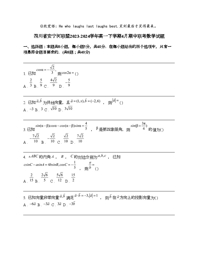 四川省安宁河联盟2023-2024学年高一下学期4月期中联考数学试题01