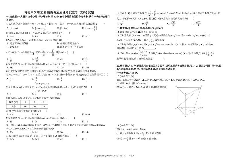 2024成都树德中学高三下学期高考适应性考试数学（文）PDF版含答案（可编辑）01