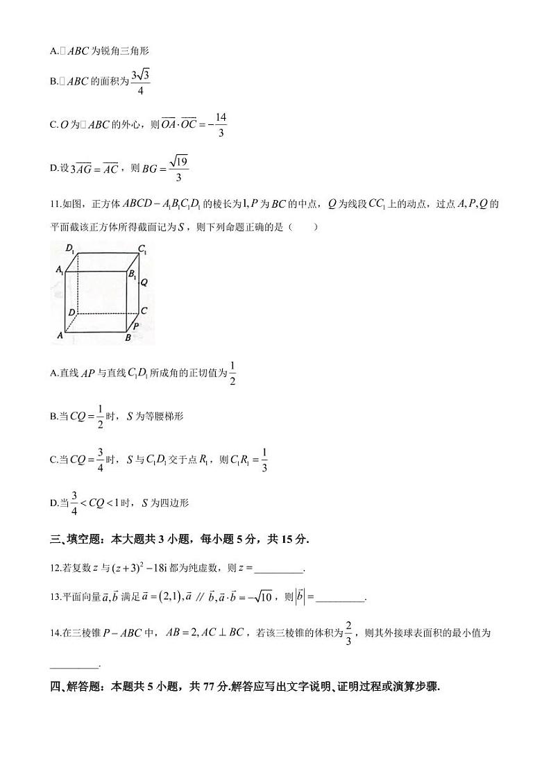 （新构架19题）广东韶关市五校联考2024年高一下学期5月联考数学试题（含答案）03
