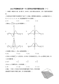 2024年湖南省长沙一中大联考高考数学模拟试卷（一）（含详细答案解析）