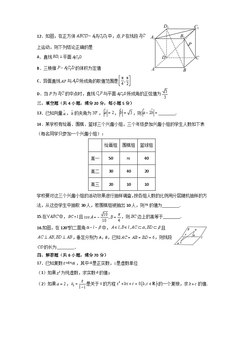 河南省信阳市浉河区信阳高级中学2023-2024学年高一下学期6月月考数学试题（含答案）03