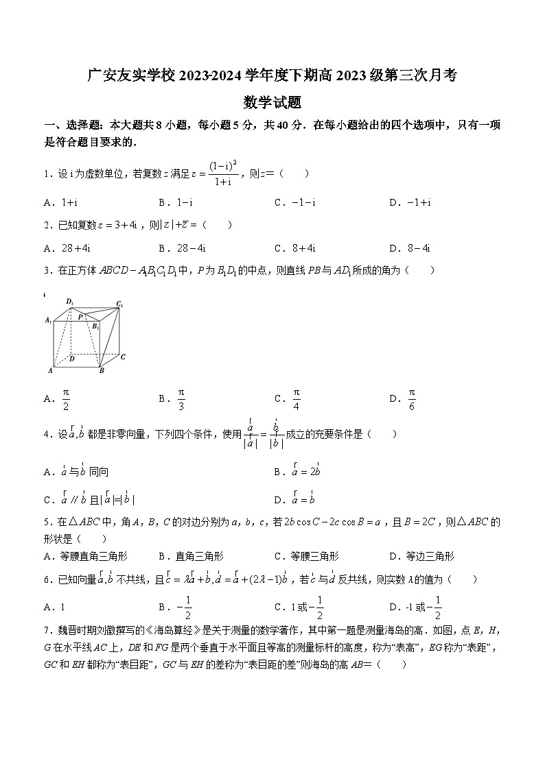 四川省广安友实学校2023-2024学年高一下学期6月月考数学试题（含答案）第1页