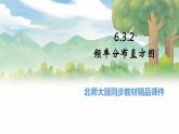 高中BSD数学必修第一册 6.3.2 频率分布直方图 PPT课件