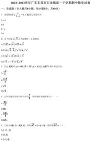 2022~2023学年广东东莞市石龙镇高一下学期期中数学试卷