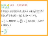 人教B版数学必修第二册4.1.2《指数函数的性质与图像》（第1课时）课件+分层练习