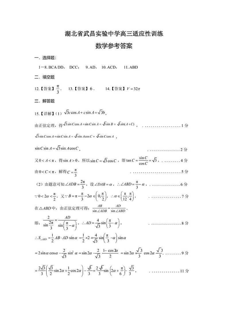 湖北省武昌实验中学2024届高三下学期适应性考试数学试卷答案第1页