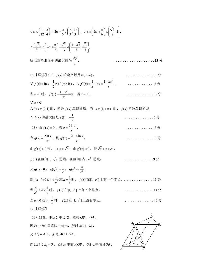 湖北省武昌实验中学2024届高三下学期适应性考试数学试卷答案第2页