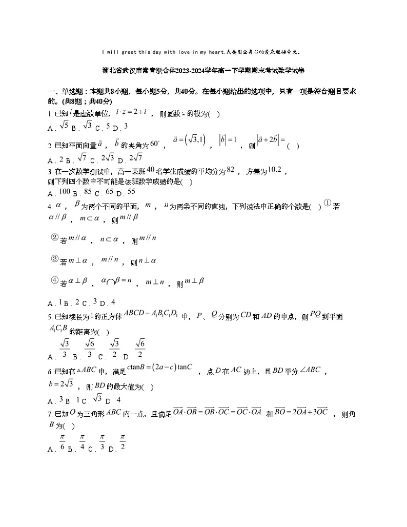 [数学][期末]湖北省武汉市常青联合体2023-2024学年高一下学期期末考试数学试卷01