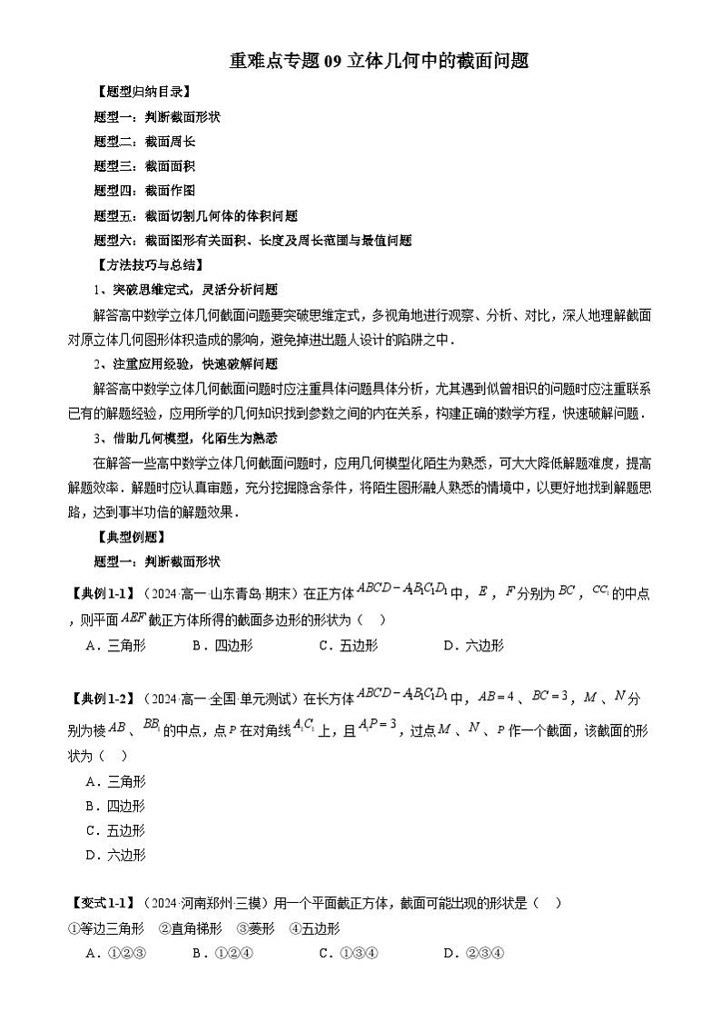 重难点专题09 立体几何中的截面问题 练习（原卷）第1页