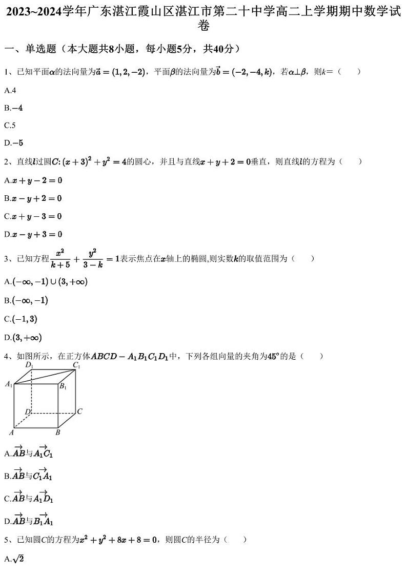 2023~2024学年广东湛江霞山区湛江市第二十中学高二上学期期中数学试卷（含答案与解析）01