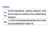 2025年高考数学一轮复习-第四章-第三节-导数与函数的极值、最值【课件】