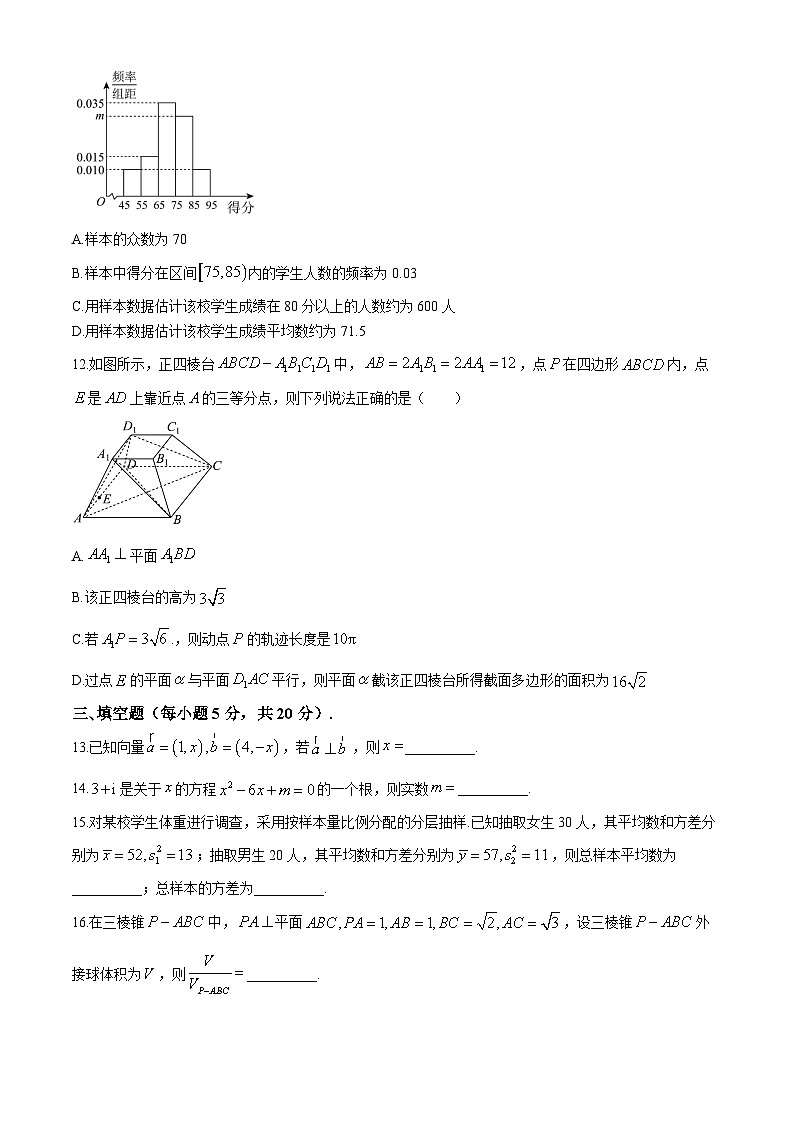 2024南宁二中高一下学期7月期末考试数学含解析03