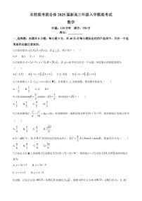 湖南省名校联考联合体2025届高三上学期入学摸底考试数学试题+答案