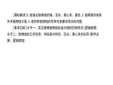 北师大高中数学选择性必修第一册2.3.2抛物线的简单几何性质【课件】