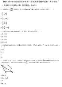2023~2024学年12月山东青岛高一上学期月考数学试卷（海尔学校）（含答案与解析）