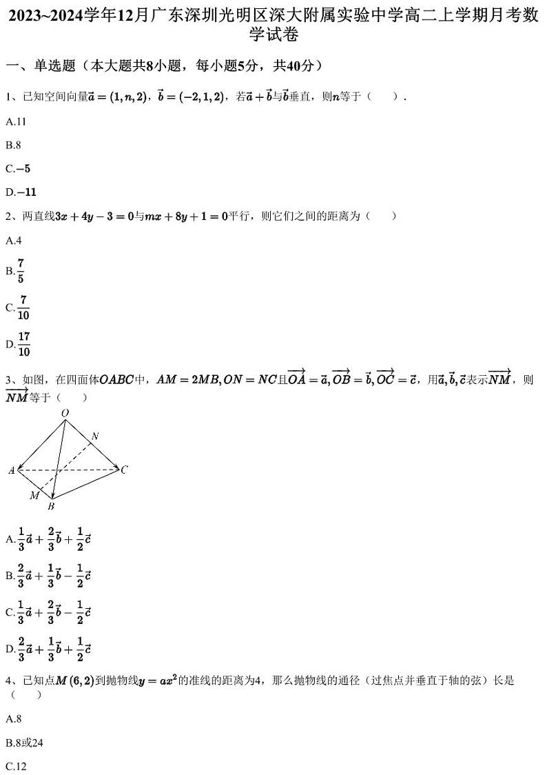 2023~2024学年12月广东深圳光明区深大附属实验中学高二上学期月考数学试卷（含答案与解析）01