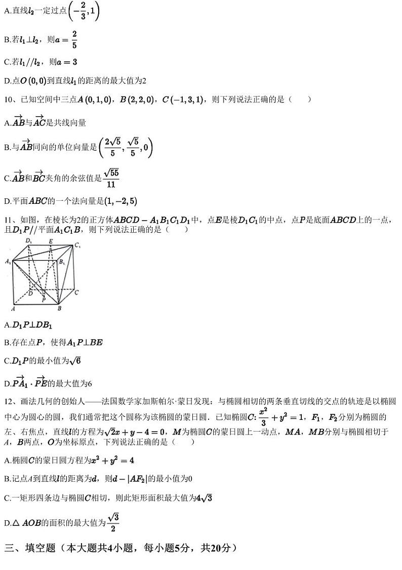 2023~2024学年广东东莞市东城街道东莞市第一中学高二上学期期中数学试卷（含答案与解析）03
