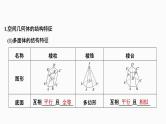 2025高考数学一轮复习-7.1-基本立体图形、简单几何体的表面积与体积【课件】