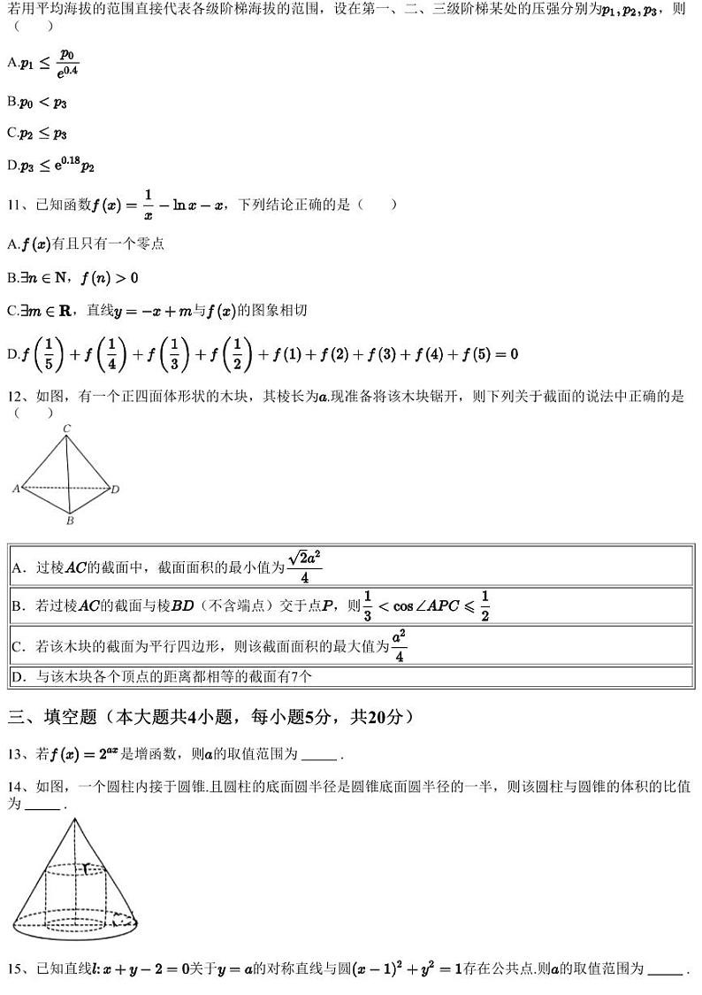 2023~2024学年10月广东湛江高三上学期月考数学试卷（含答案与解析）03