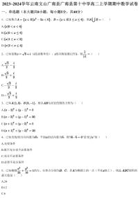 2023~2024学年云南文山广南县广南县第十中学高二上学期期中数学试卷（含答案与解析）