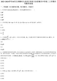 2023~2024学年10月江西赣州大余县江西省大余县梅关中学高二上学期月考数学试卷（含答案与解析）