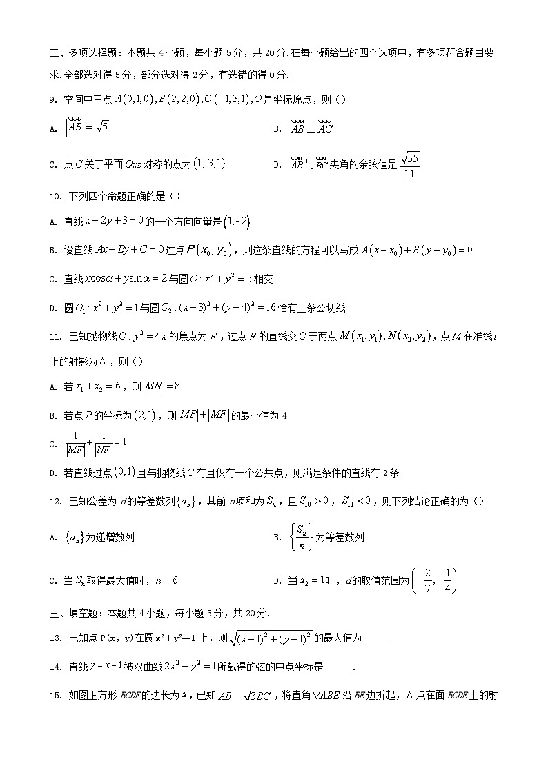 山东省泰安市2023_2024学年高二数学上学期12月月考试题第2页